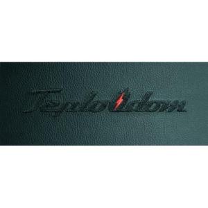 Электрический котел Teplodom i-TRM SILVER StS 12 кВт в Борисове