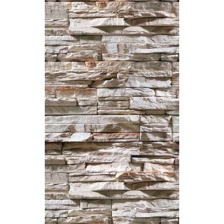 Фиброцементная плита Фаспан Дикий камень №1007 Вертикаль (1200х800х8 мм) купить в Борисове