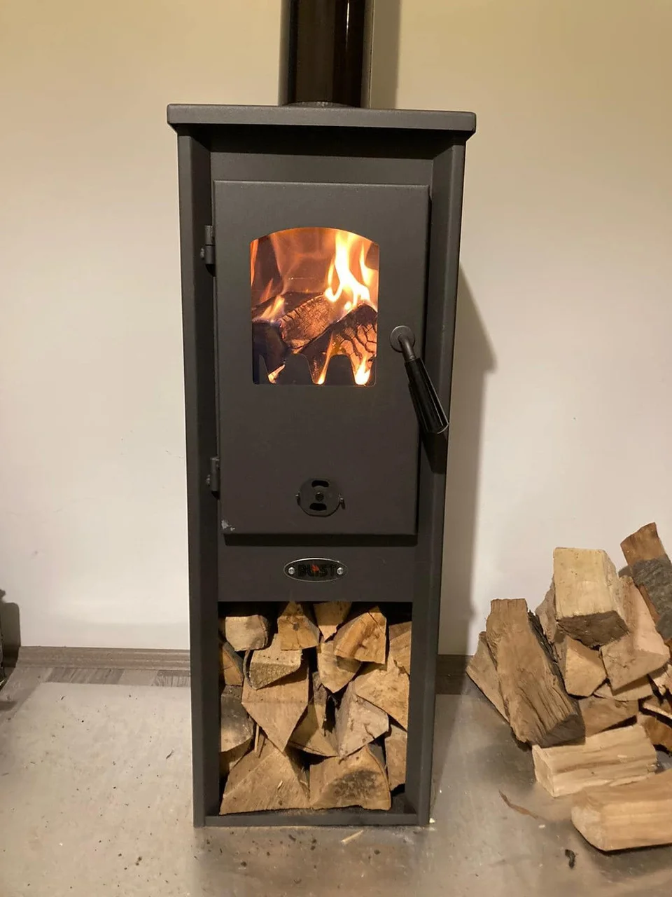 Печь-камин Blist Ekonomik Lux LM N стальная дверца Амазонка бай фото в Борисове