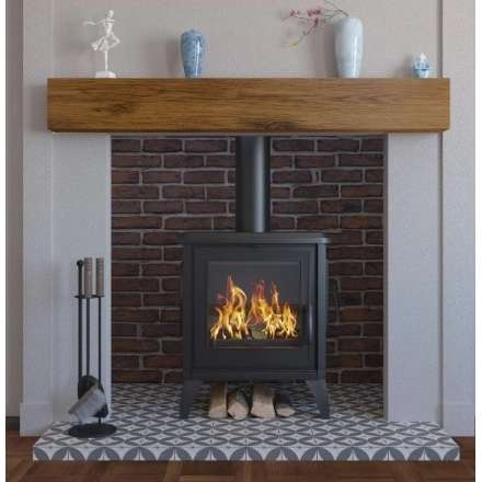 Купить чугунный Печь-камин EVEREST S13 в Борисове в Борисове