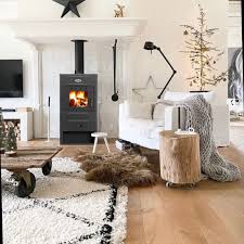 Печь-камин Blist B 2 Амазонка бай фото в Борисове