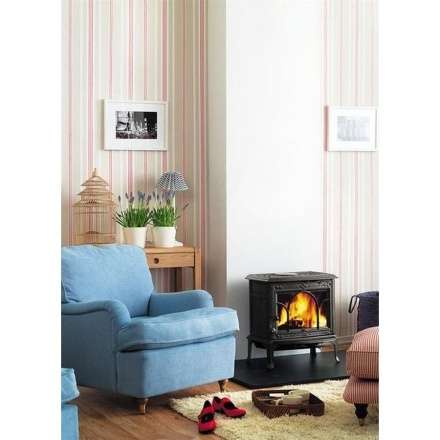 Чугунная печь камин Jotul F100 BP в Борисове