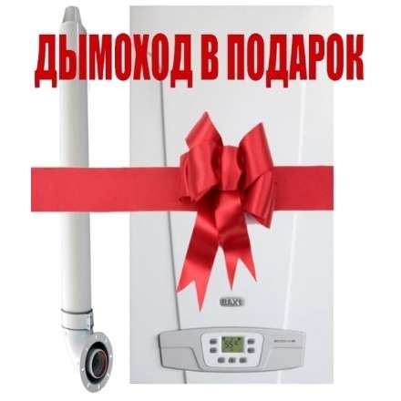 Газовый котел Baxi ECO 4S 1.24F в Борисове