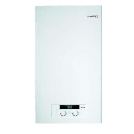 Газовый котел Protherm Рысь 24 Lynx HK 24 в Борисове