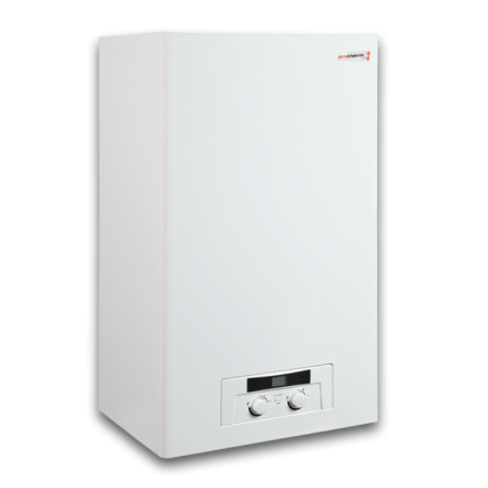 Газовый котел Protherm Рысь 24 Lynx HK 24 в Борисове