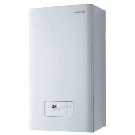 Газовый котел Protherm Гепард 23 MTV (turbo) в Борисове