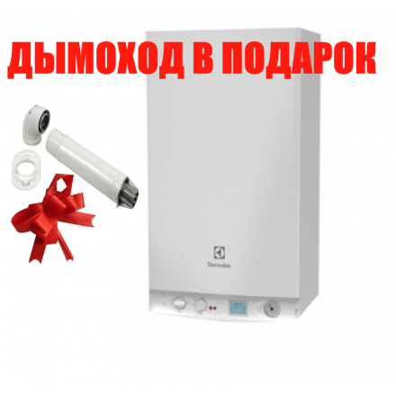 Газовый котел Electrolux GCB 24 Basic Space Duo Fi в Борисове