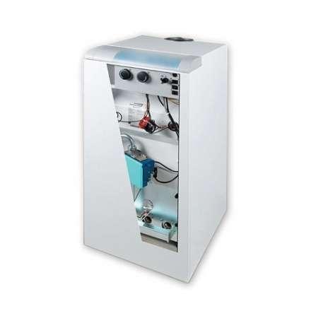 Газовый котел Protherm Медведь 20 KLOM в Борисове