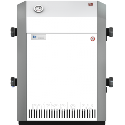 Газовый котел Лемакс Патриот 10 в Борисове