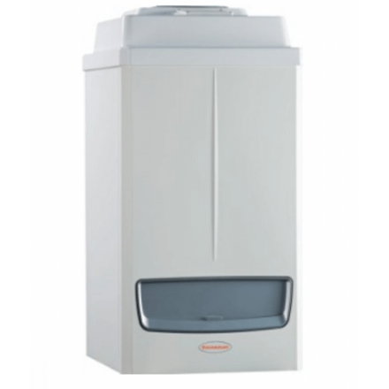 Конденсационный газовый котел Immergas Victrix Pro 55 2 ErP в Борисове