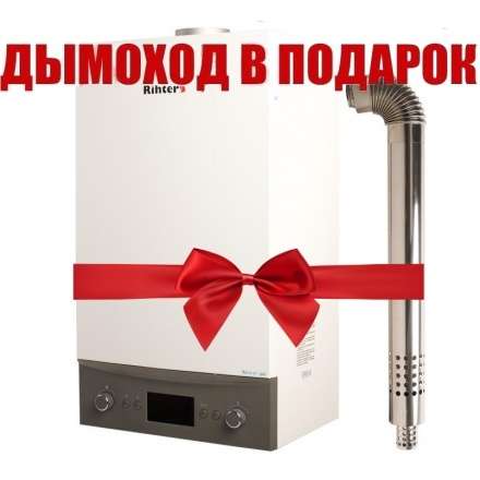 Газовый котел Rihters Econom 26 с дымоходом в Борисове