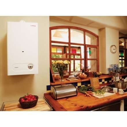 Газовый котел Protherm Тигр 24 KTZ в Борисове