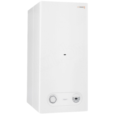 Газовый котел Protherm Тигр 24 KTZ в Борисове