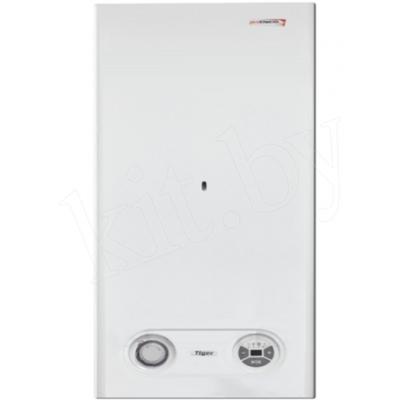 Газовый котел Protherm Тигр 24 KTZ в Борисове