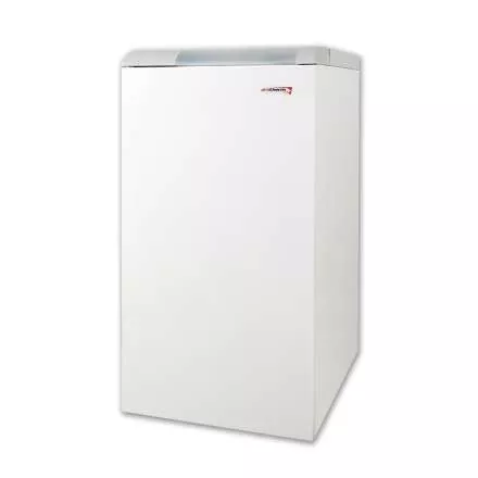 Газовый котел Protherm Медведь 40 KLOM в Борисове