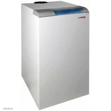 Газовый котел Protherm Медведь 40 KLOM в Борисове