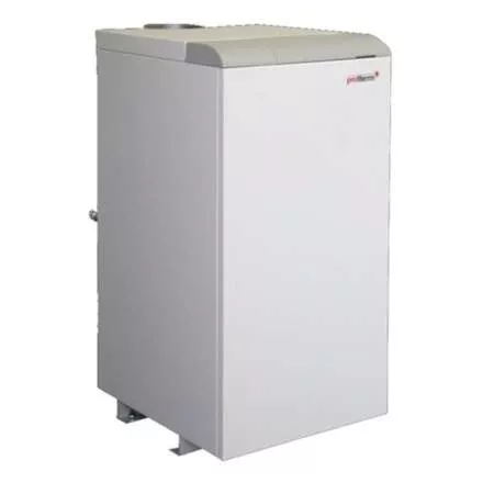Газовый котел Protherm Медведь 40 KLOM в Борисове