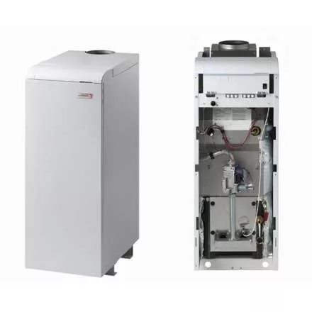 Газовый котел Protherm Медведь 40 KLOM в Борисове