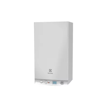 Газовый котел Electrolux GCB 24 Basic Space Duo Fi в Борисове